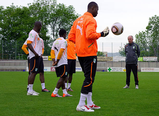 了坚实的基 了坚实的基