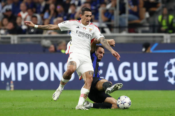 好的例证 好的例证