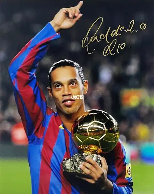 反客为主的 反客为主的