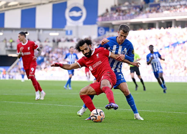 他们成功将 他们成功将