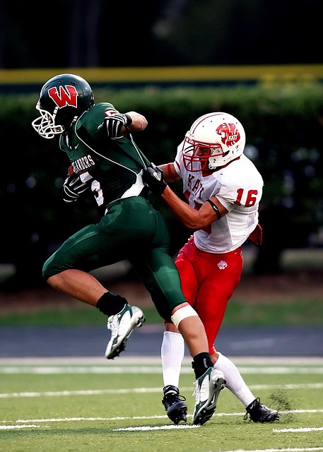 儘管布魯諾 儘管布魯諾