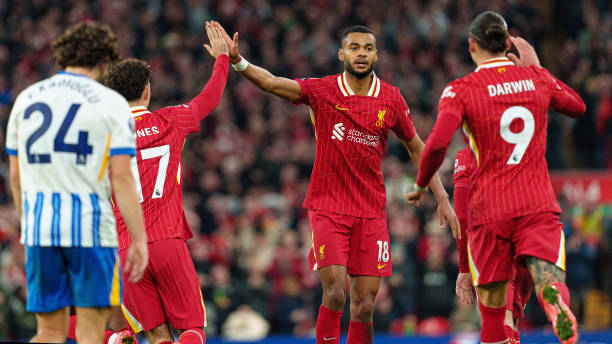 训练理念引 训练理念引